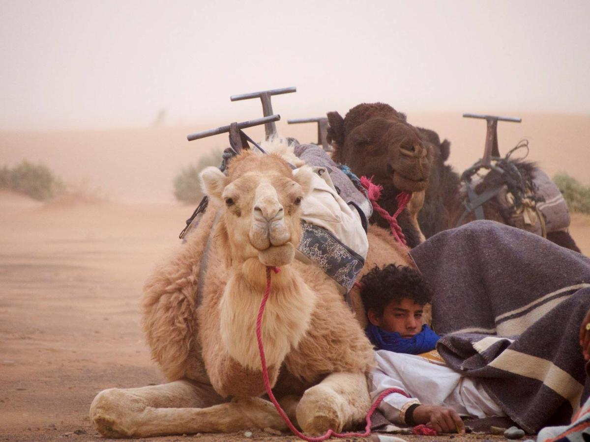 Kasbah Erg Chebbi 호텔 메르주가 외부 사진