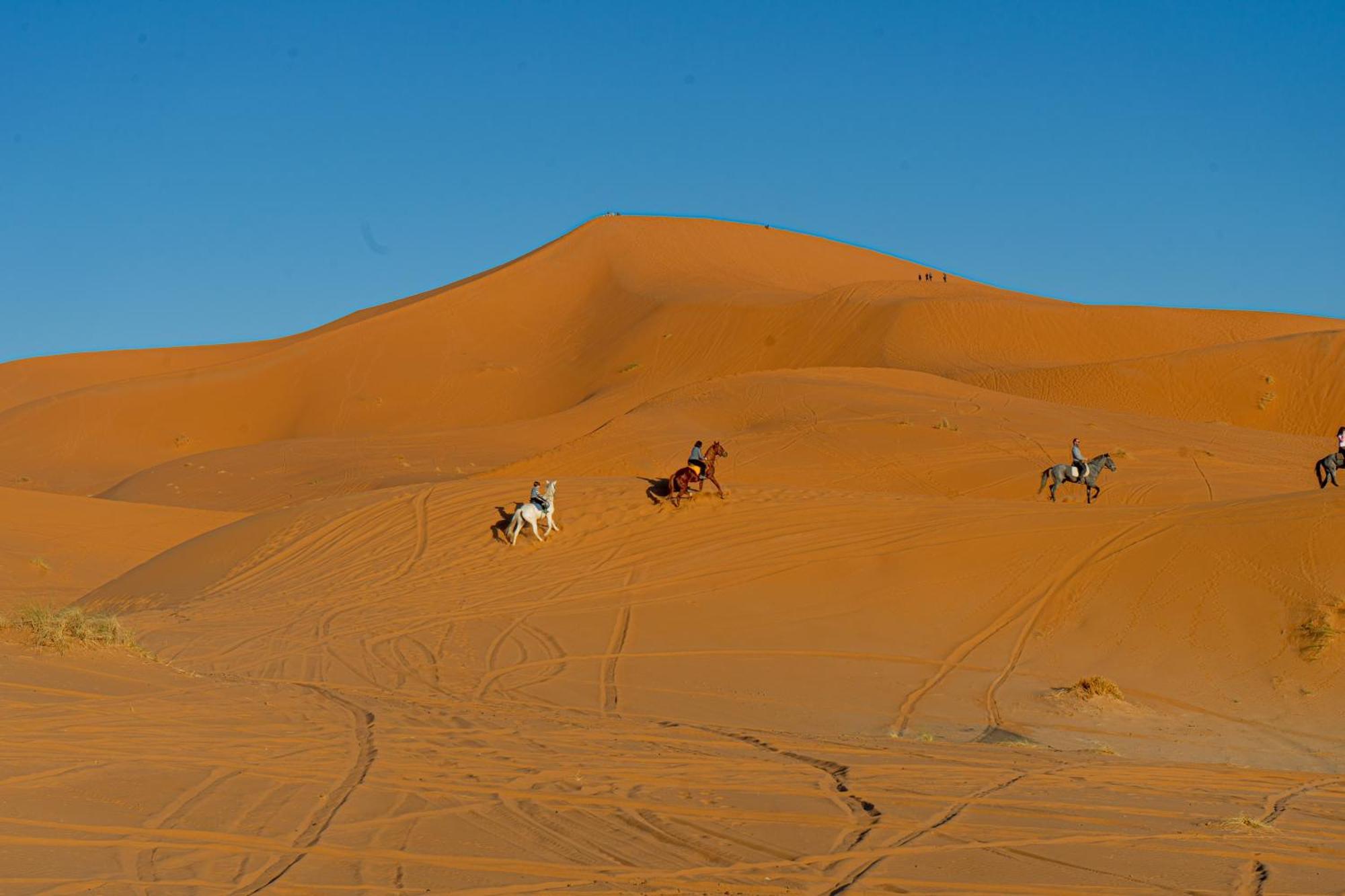 Kasbah Erg Chebbi 호텔 메르주가 외부 사진
