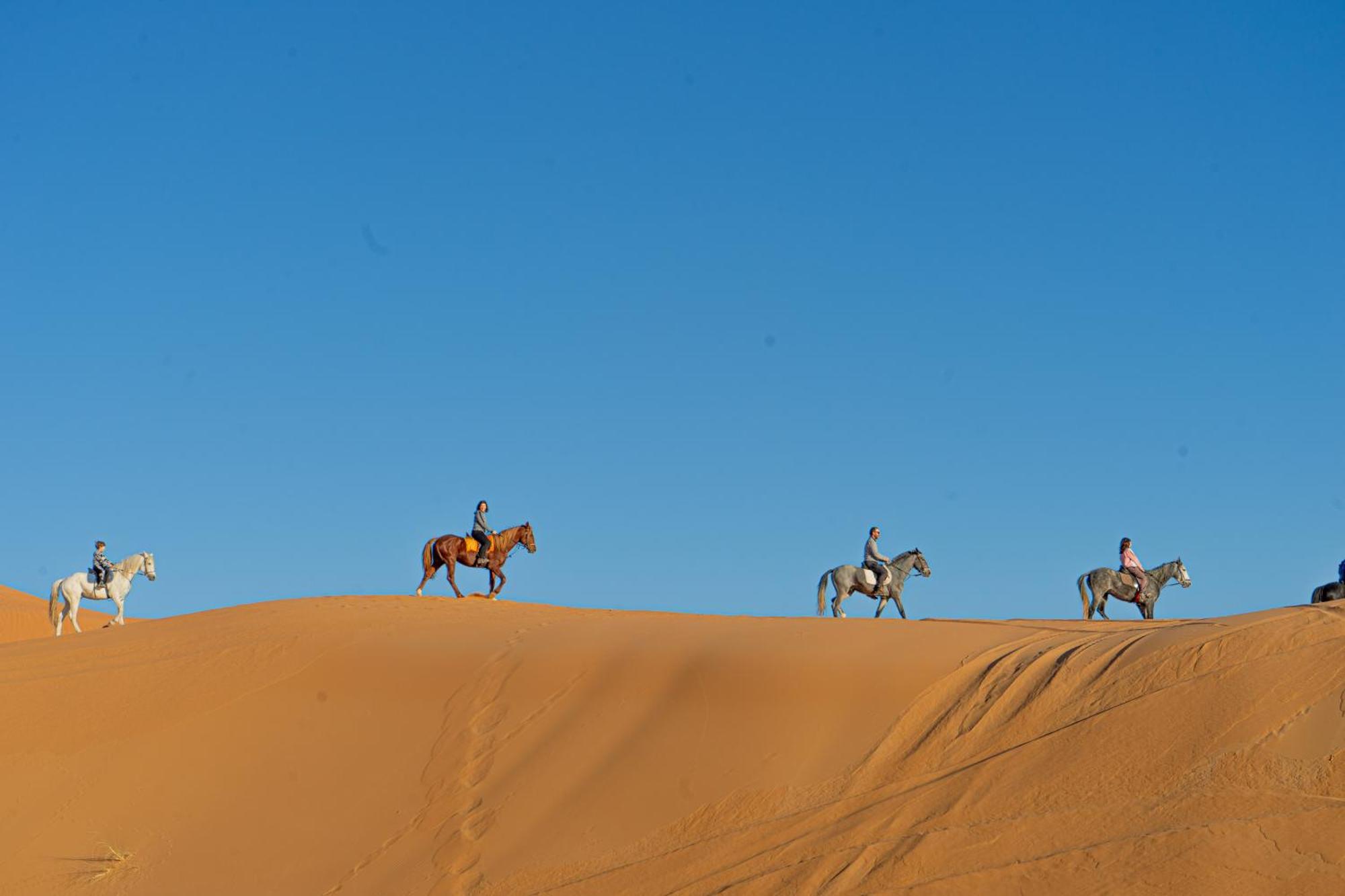 Kasbah Erg Chebbi 호텔 메르주가 외부 사진