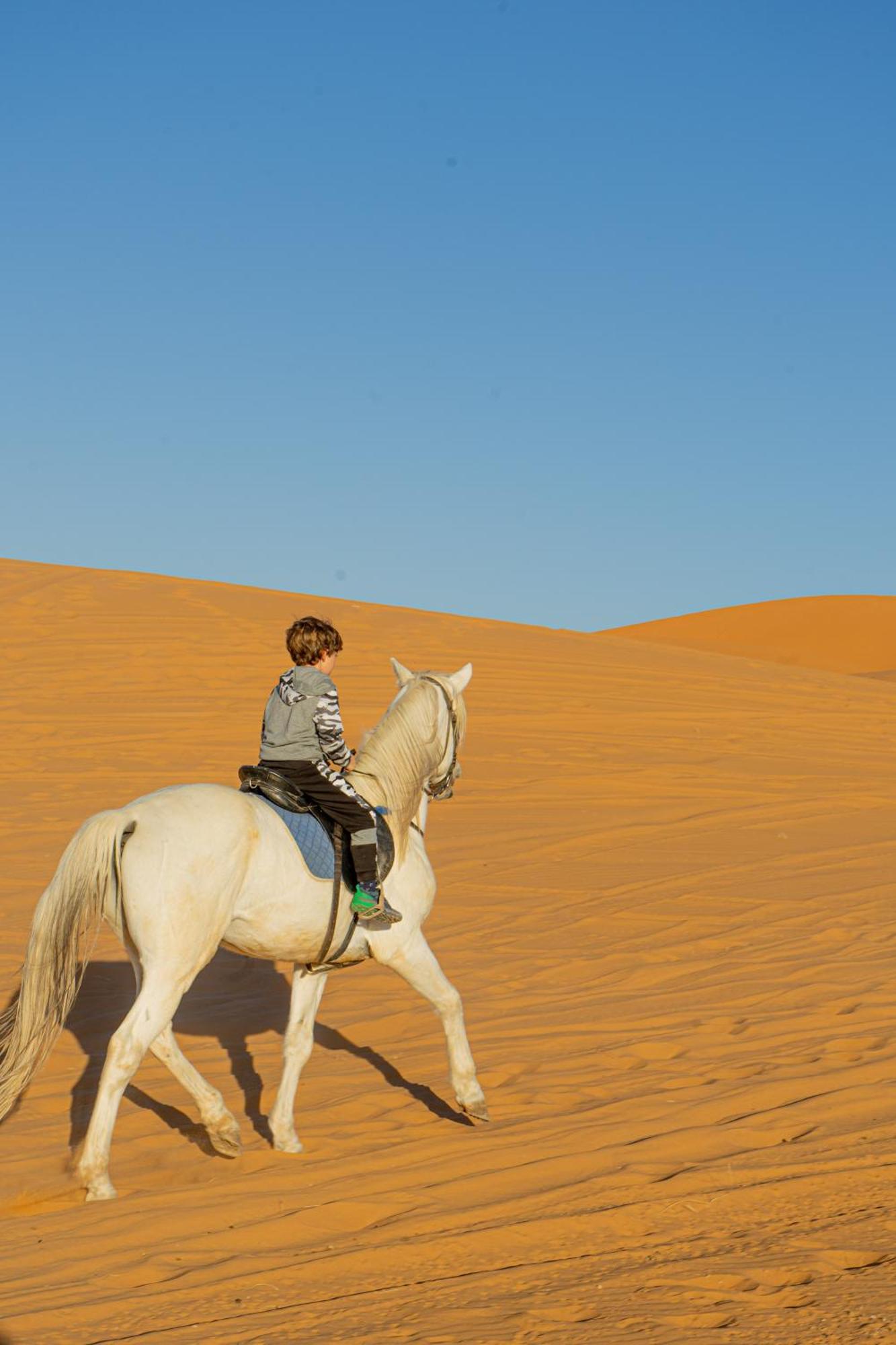 Kasbah Erg Chebbi 호텔 메르주가 외부 사진