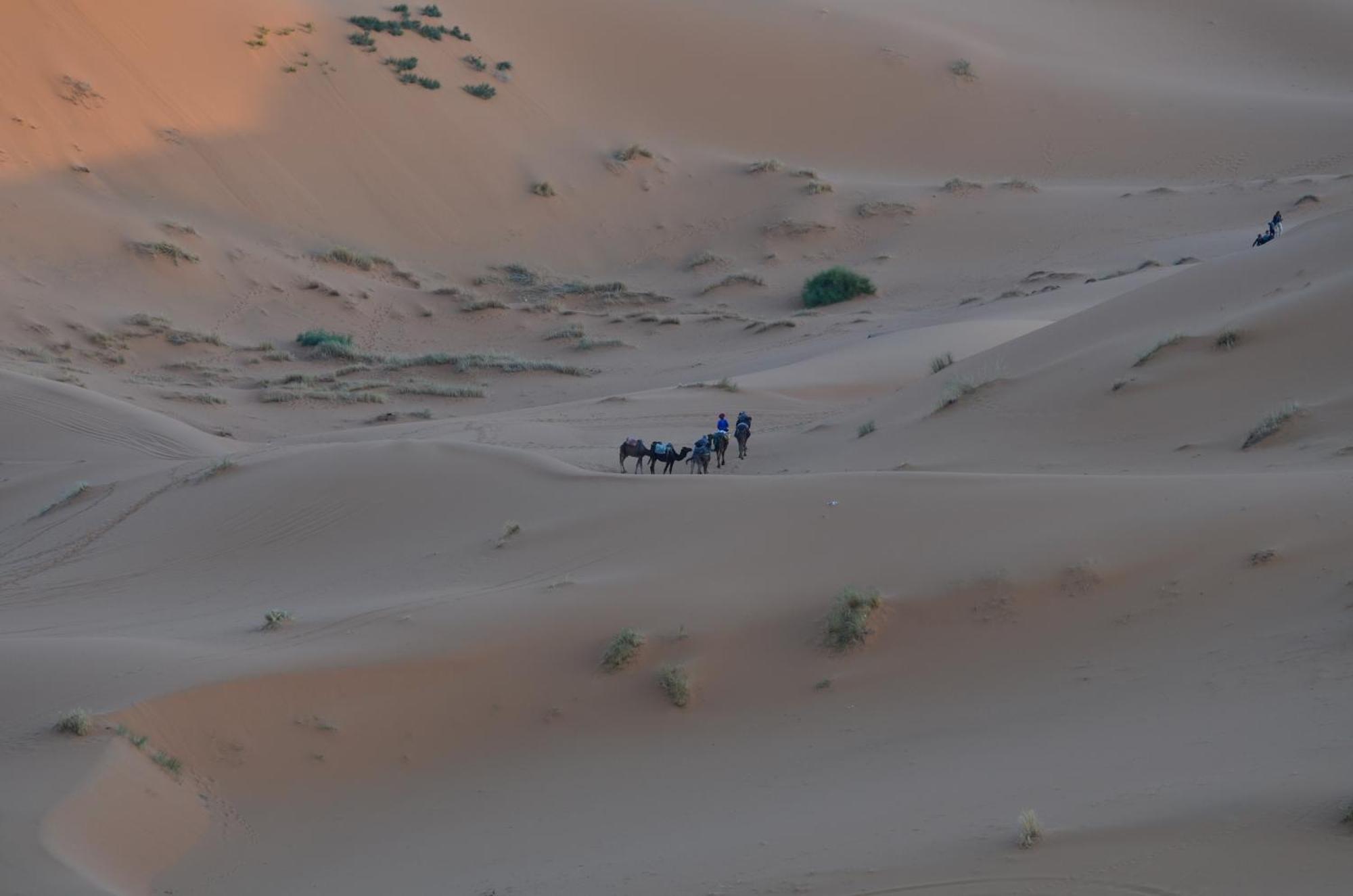 Kasbah Erg Chebbi 호텔 메르주가 외부 사진